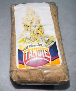 Tangie Hash for sale