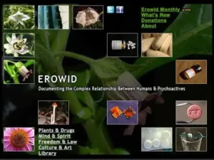 Exploring the Value of Erowid: A Unique Online Knowledge Archive